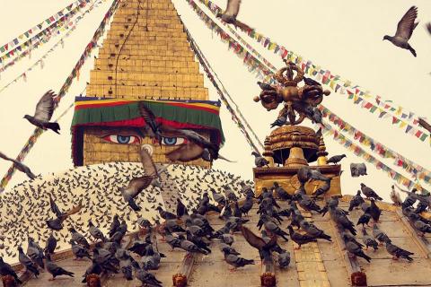 Student Tour Package in Nepal 