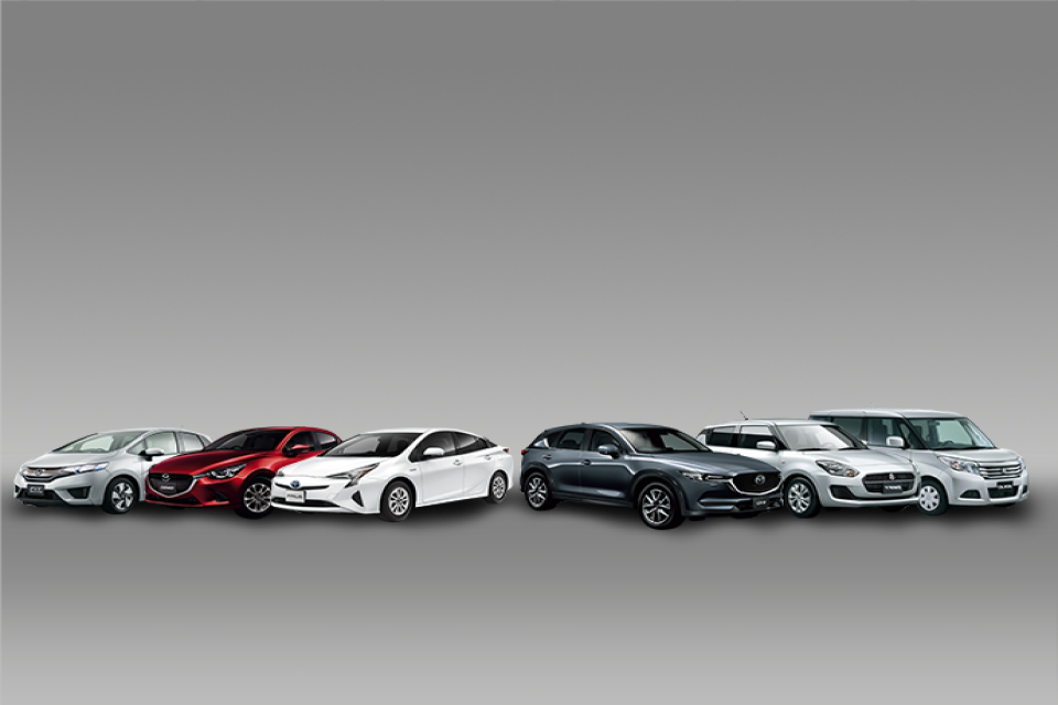 Vehicle rental service in Nepal