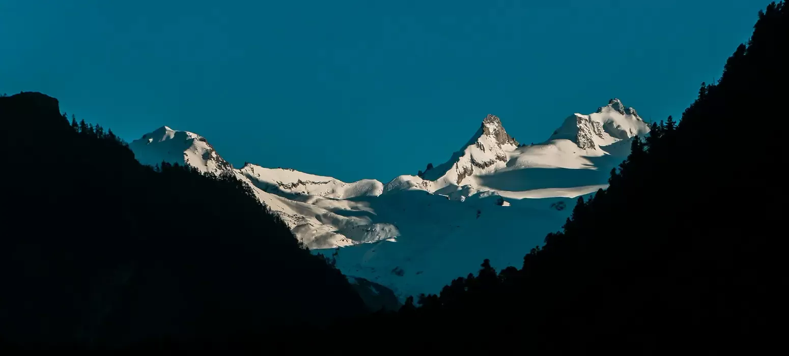 Welcome To Speedy Travels